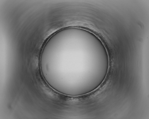 X0000112081505200908181231