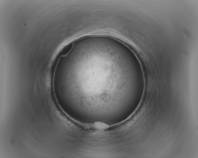 X0000112081506200908181231