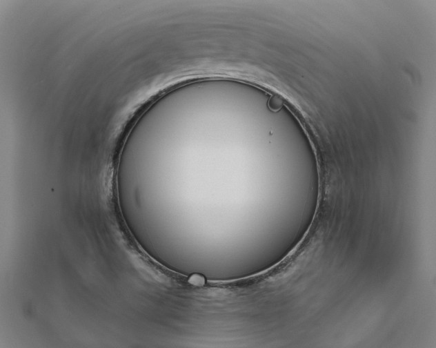 X0000112081507200908181231