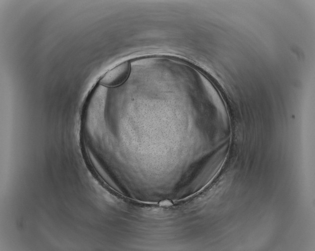 X0000112081508200908181231
