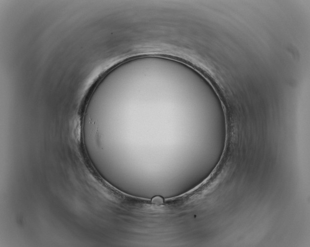X0000112081509200908181231