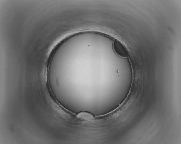 X0000112081510200908181231