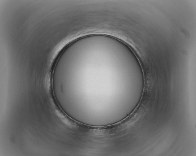 X0000112081511200908181231