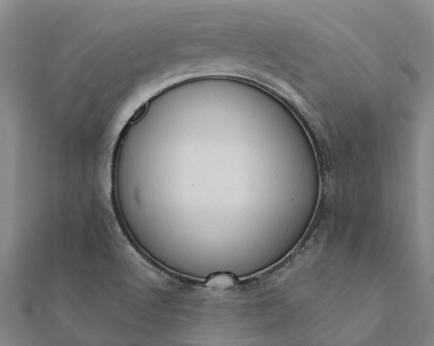 X0000112081512200908181231
