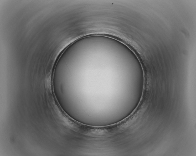 X0000112081513200908181231