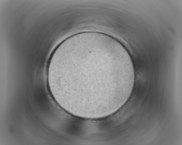 X0000112081514200908181231