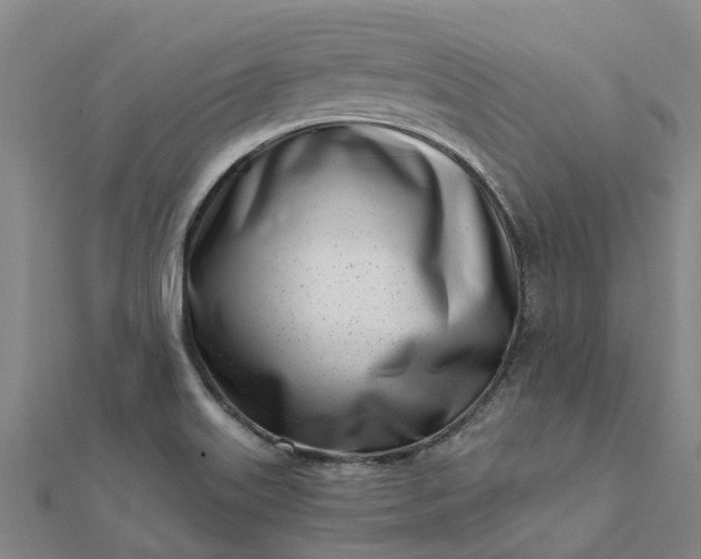 X0000112081515200908181231