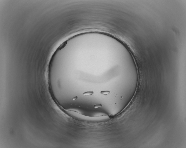 X0000112081516200908181231
