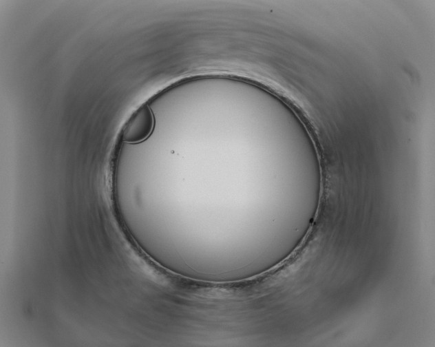 X0000112081517200908181231