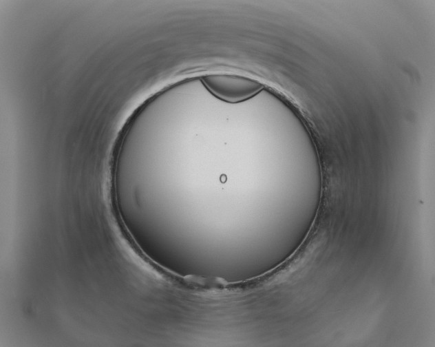 X0000112081518200908181231