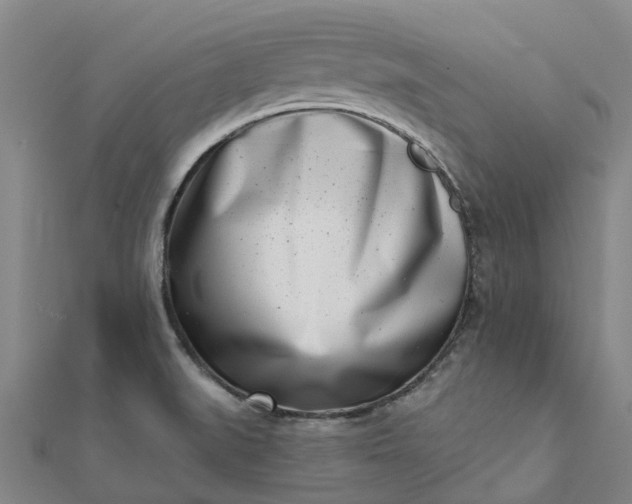 X0000112081519200908181231