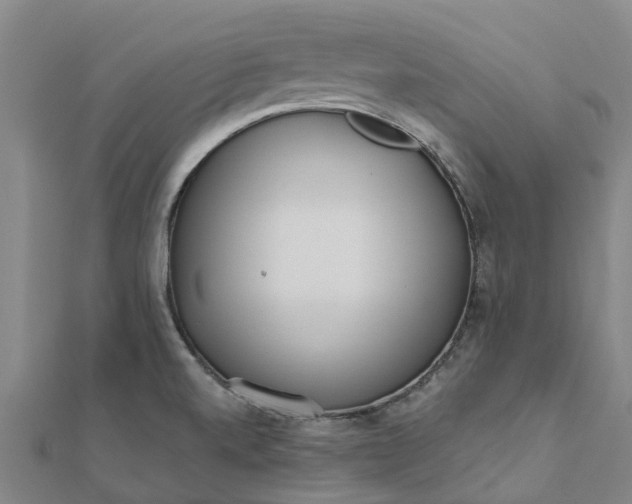 X0000112081520200908181231