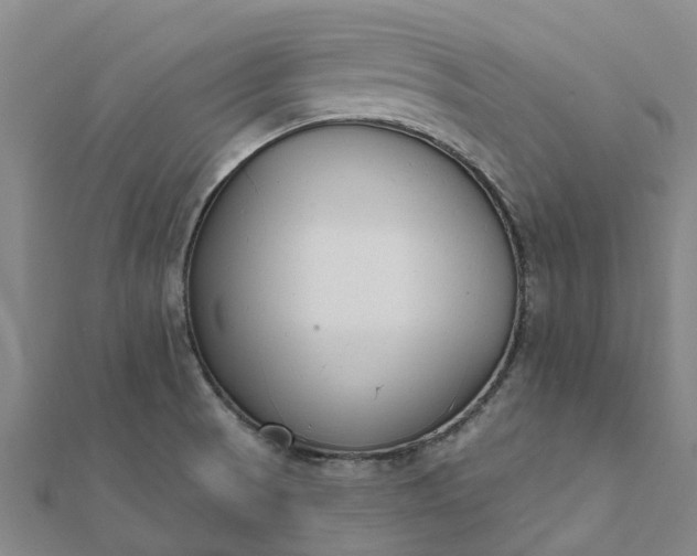 X0000112081521200908181231