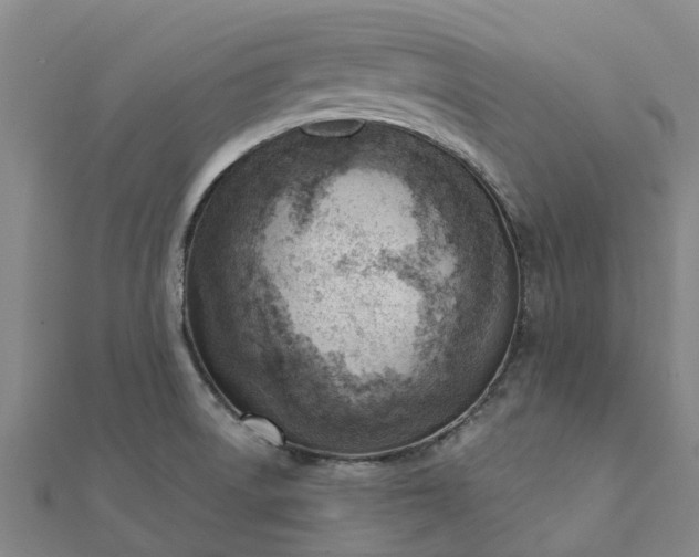 X0000112081522200908181231