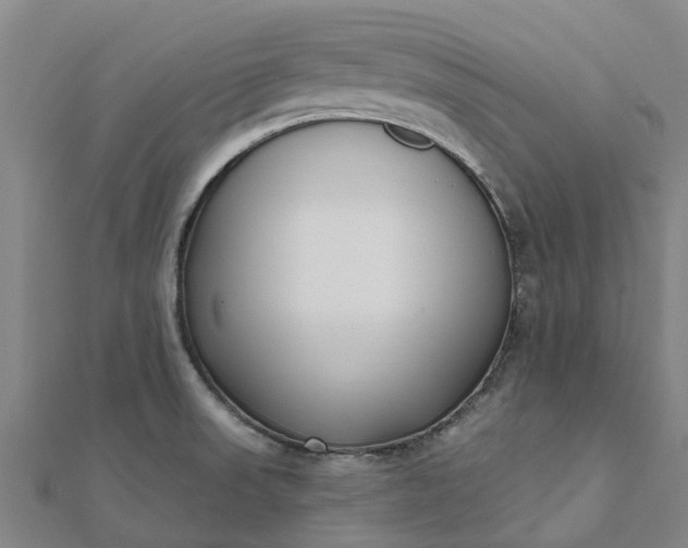 X0000112081523200908181231