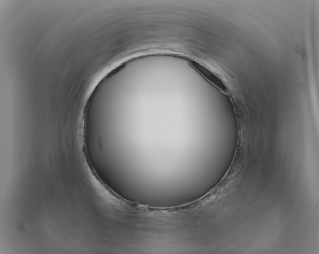 X0000112081524200908181231