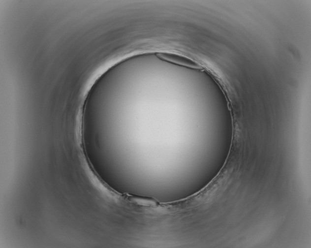 X0000112081528200908181231