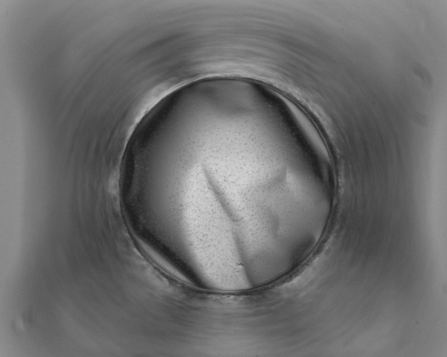 X0000112081529200908181231
