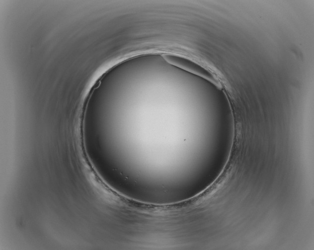 X0000112081530200908181231