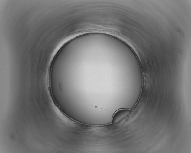 X0000112081531200908181231