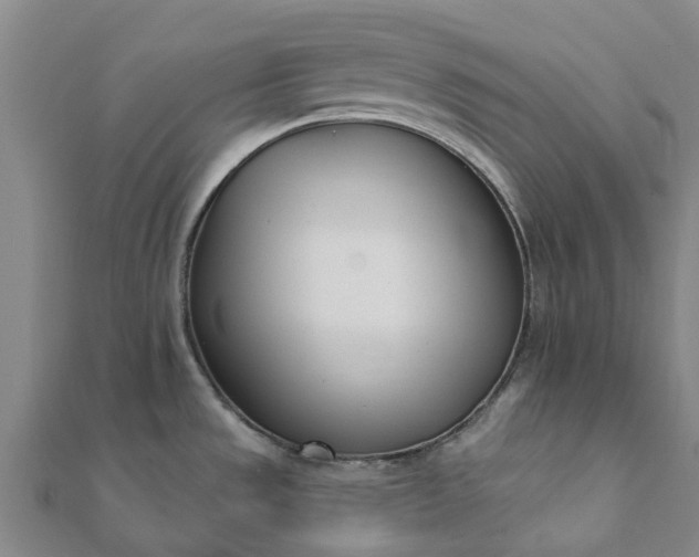 X0000112081533200908181231