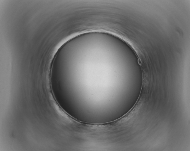 X0000112081534200908181231