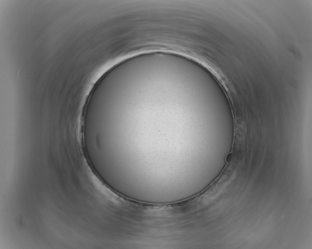 X0000112081535200908181231