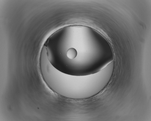 X0000112081536200908181231