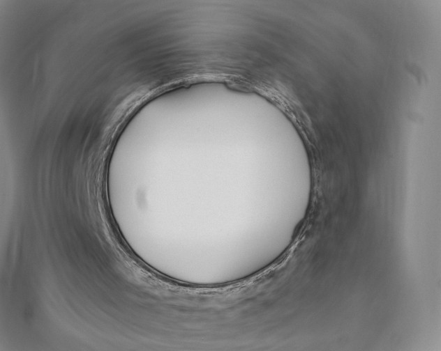 X0000112080001200908251115