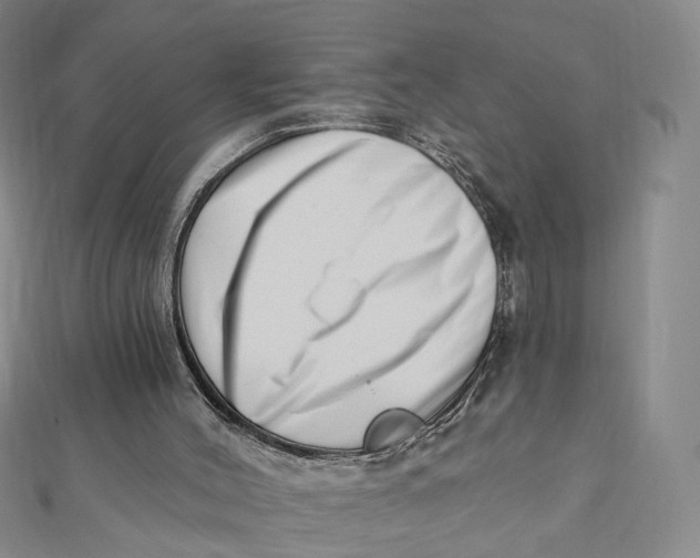 X0000112080004200908251115