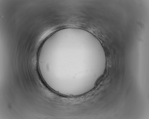 X0000112080005200908251115