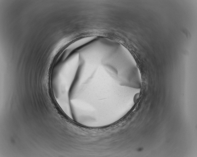 X0000112080006200908251115
