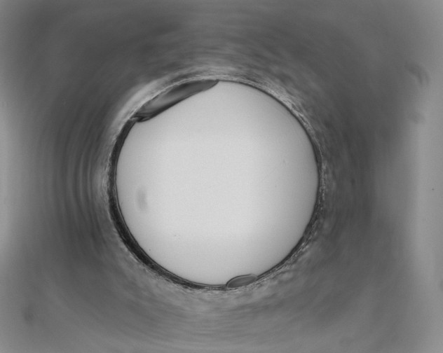 X0000112080007200908251115