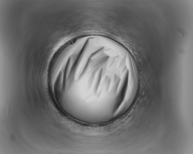 X0000112080008200908251115