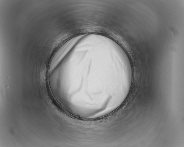 X0000112080010200908251115