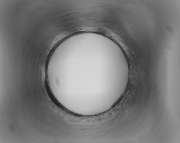 X0000112080011200908251115
