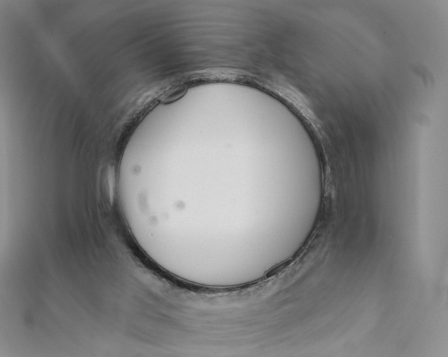 X0000112080013200908251115