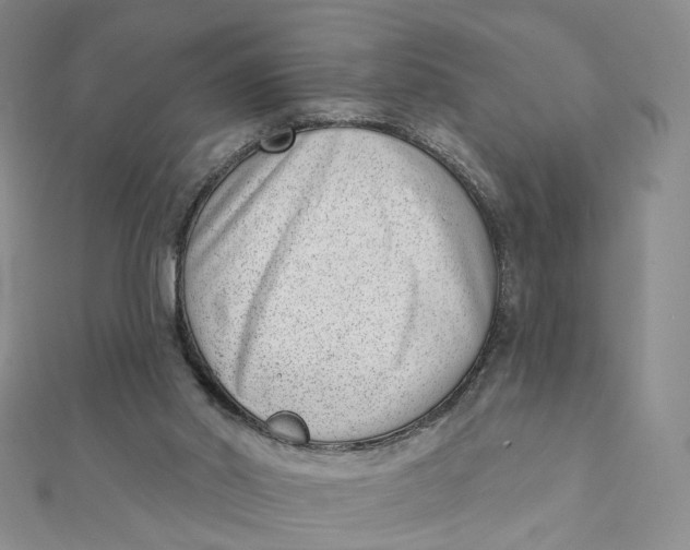 X0000112080014200908251115