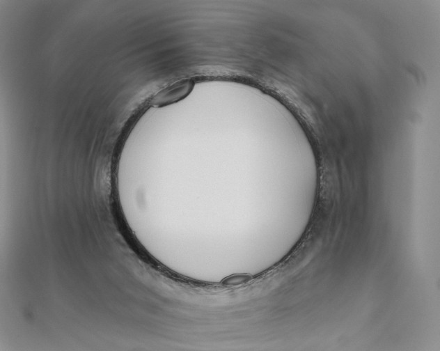 X0000112080015200908251115