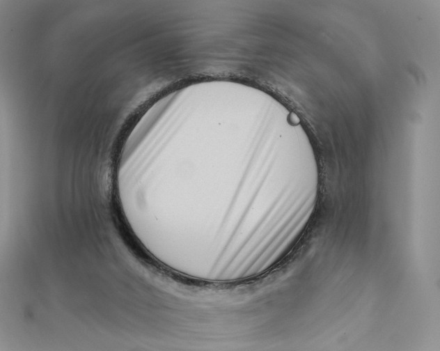 X0000112080016200908251115
