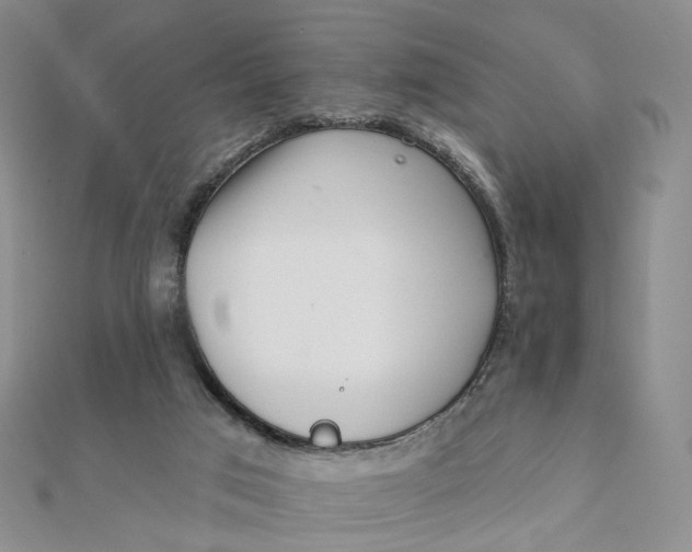 X0000112080017200908251115