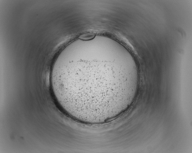 X0000112080019200908251115