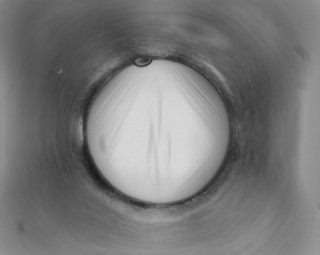 X0000112080020200908251115