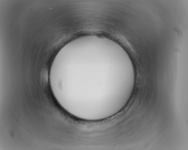 X0000112080021200908251115