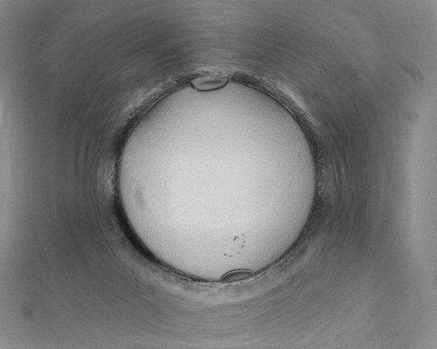 X0000112080023200908251115