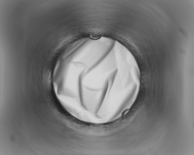 X0000112080024200908251115
