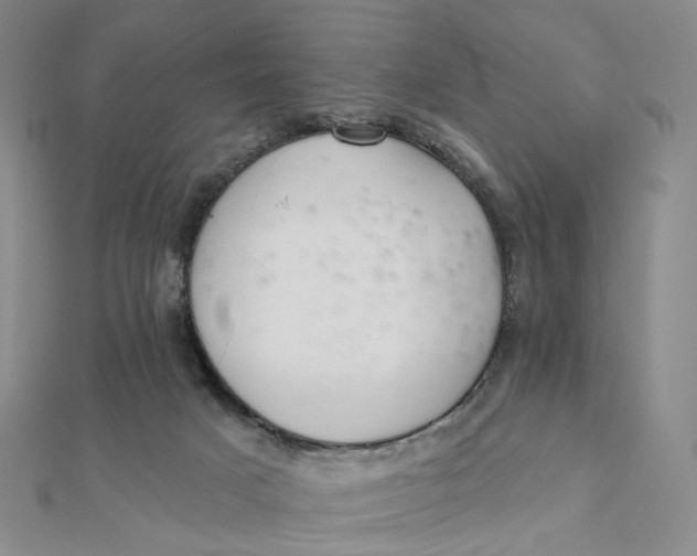 X0000112080025200908251115
