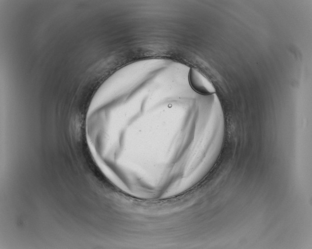 X0000112080026200908251115