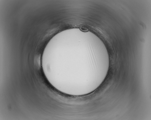 X0000112080028200908251115