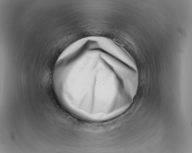 X0000112080029200908251115
